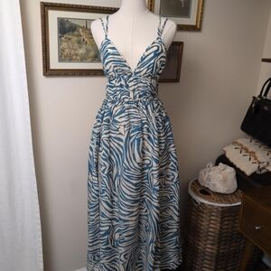Blue and White Zebra Print Maxi Dress